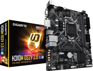 H310M DS2V 2.0 (Rev. 1.0)